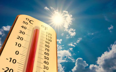 Un été chaud au BIT